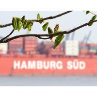 1850_2134 Containerschiff der Reederei Hamburg Süd - junge Kastanienblätter. | Bilder vom Fruehling in Hamburg; Vol. 1